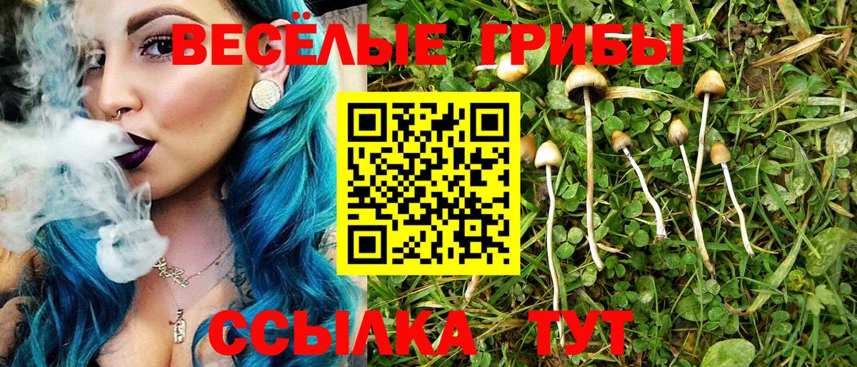 Галлюциногенные грибы Psilocybe  Вход с VPN  Галлюциногенные грибы Psilocybine cubensis  Южно-Сахалинск 