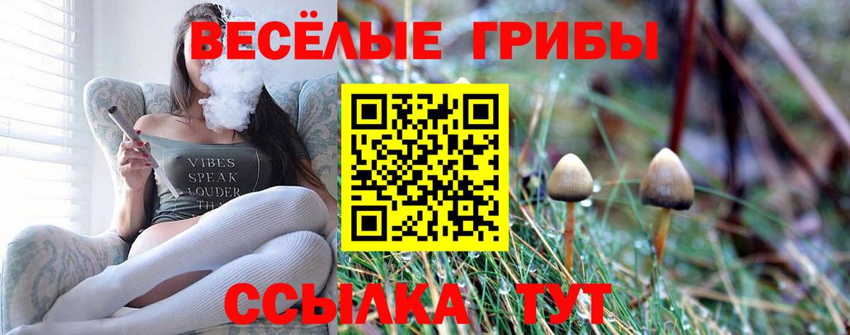 Псилоцибиновые грибы MAGIC MUSHROOMS Южно-Сахалинск